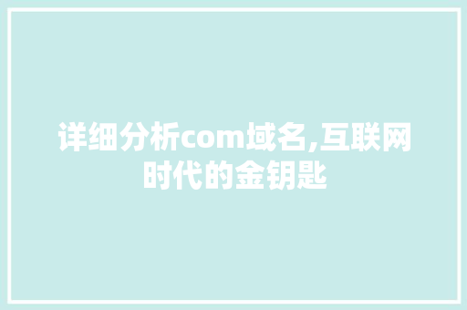 详细分析com域名,互联网时代的金钥匙