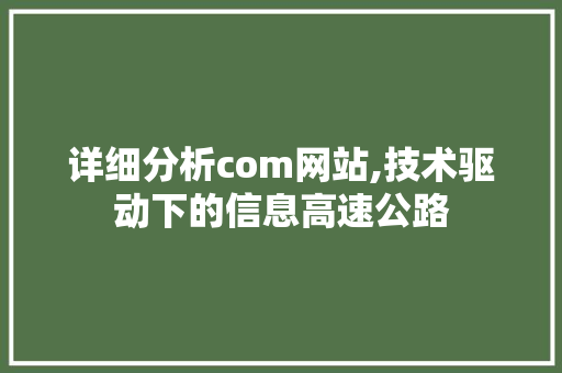 详细分析com网站,技术驱动下的信息高速公路 详细分析com网站,技术驱动下的信息高速公路 神马SEO