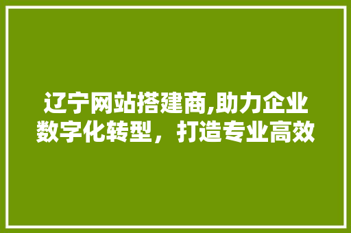 辽宁网站搭建商,助力企业数字化转型，打造专业高效网络平台 辽宁网站搭建商,助力企业数字化转型，打造专业高效网络平台 神马SEO