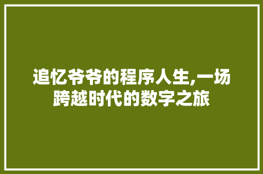 追忆爷爷的程序人生,一场跨越时代的数字之旅 追忆爷爷的程序人生,一场跨越时代的数字之旅 SEO关键词
