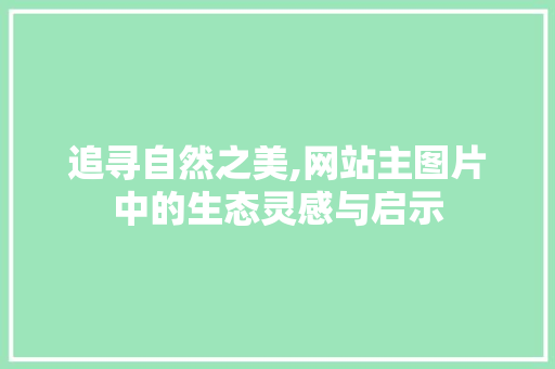 追寻自然之美,网站主图片中的生态灵感与启示