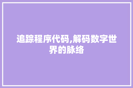 追踪程序代码,解码数字世界的脉络 追踪程序代码,解码数字世界的脉络 百度SEO