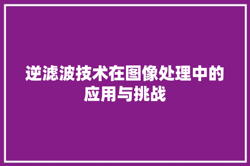 逆滤波技术在图像处理中的应用与挑战 逆滤波技术在图像处理中的应用与挑战 SEO关键词