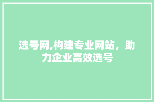 选号网,构建专业网站，助力企业高效选号 选号网,构建专业网站，助力企业高效选号 SEO关键词