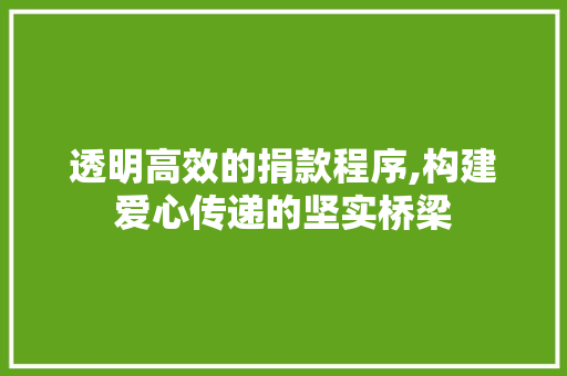 透明高效的捐款程序,构建爱心传递的坚实桥梁 透明高效的捐款程序,构建爱心传递的坚实桥梁 百度SEO