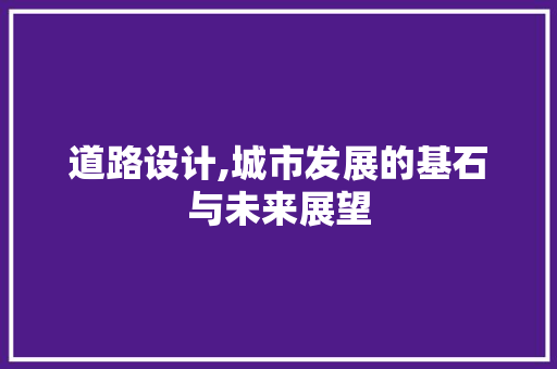道路设计,城市发展的基石与未来展望 道路设计,城市发展的基石与未来展望 搜狗SEO