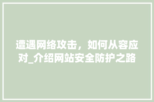 遭遇网络攻击，如何从容应对_介绍网站安全防护之路