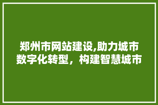 郑州市网站建设,助力城市数字化转型，构建智慧城市新格局