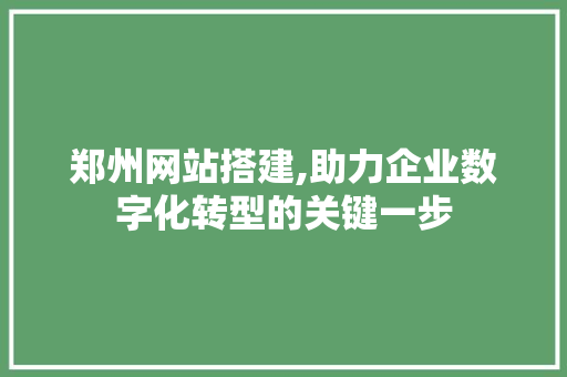 郑州网站搭建,助力企业数字化转型的关键一步 郑州网站搭建,助力企业数字化转型的关键一步 搜狗SEO