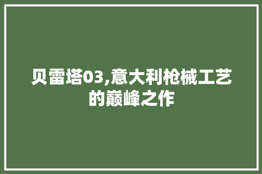 贝雷塔03,意大利枪械工艺的巅峰之作 贝雷塔03,意大利枪械工艺的巅峰之作 神马SEO