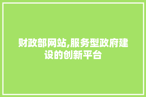 财政部网站,服务型政府建设的创新平台