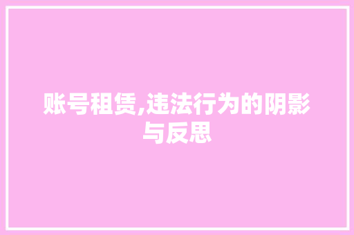 账号租赁,违法行为的阴影与反思
