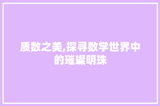 质数之美,探寻数学世界中的璀璨明珠