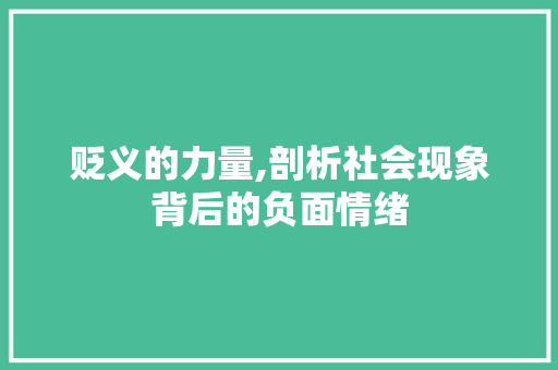 贬义的力量,剖析社会现象背后的负面情绪