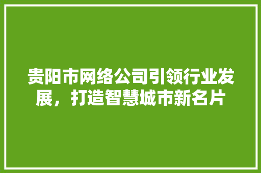 贵阳市网络公司引领行业发展，打造智慧城市新名片 贵阳市网络公司引领行业发展，打造智慧城市新名片 神马SEO