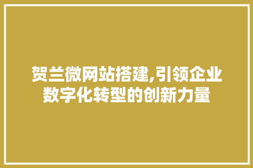 贺兰微网站搭建,引领企业数字化转型的创新力量