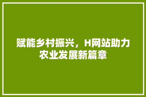 赋能乡村振兴，H网站助力农业发展新篇章