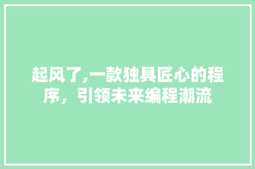 起风了,一款独具匠心的程序，引领未来编程潮流 起风了,一款独具匠心的程序，引领未来编程潮流 SEO关键词