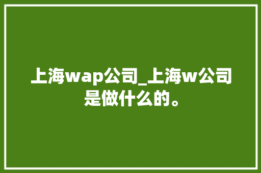 上海wap公司_上海w公司是做什么的。