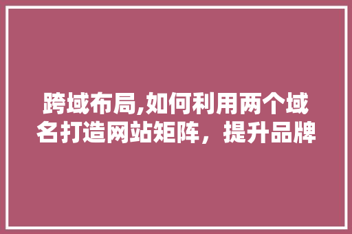 跨域布局,如何利用两个域名打造网站矩阵，提升品牌影响力 跨域布局,如何利用两个域名打造网站矩阵，提升品牌影响力 百度SEO