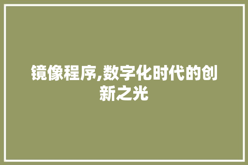 镜像程序,数字化时代的创新之光 镜像程序,数字化时代的创新之光 必应SEO