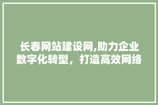 长春网站建设网,助力企业数字化转型，打造高效网络营销新格局 长春网站建设网,助力企业数字化转型，打造高效网络营销新格局 网站建设公司