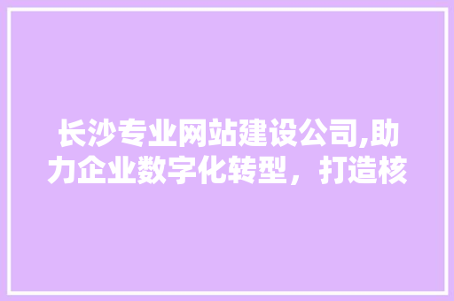 长沙专业网站建设公司,助力企业数字化转型，打造核心竞争力 长沙专业网站建设公司,助力企业数字化转型，打造核心竞争力 神马SEO