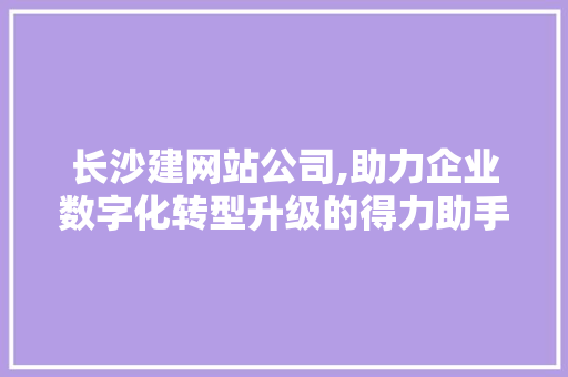 长沙建网站公司,助力企业数字化转型升级的得力助手 长沙建网站公司,助力企业数字化转型升级的得力助手 神马SEO