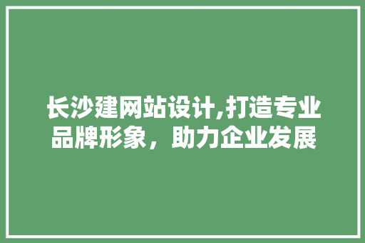 长沙建网站设计,打造专业品牌形象，助力企业发展 长沙建网站设计,打造专业品牌形象，助力企业发展 SEO关键词