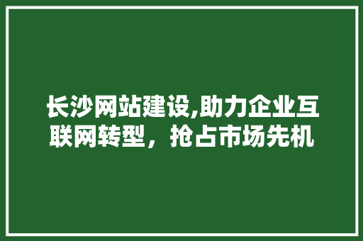长沙网站建设,助力企业互联网转型，抢占市场先机 长沙网站建设,助力企业互联网转型，抢占市场先机 神马SEO