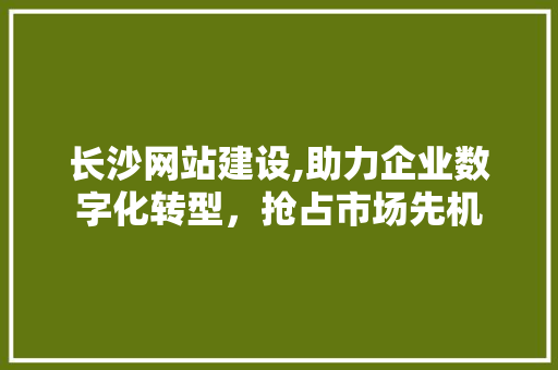 长沙网站建设,助力企业数字化转型，抢占市场先机 长沙网站建设,助力企业数字化转型，抢占市场先机 神马SEO