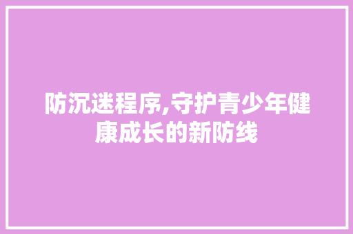 防沉迷程序,守护青少年健康成长的新防线