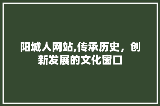 阳城人网站,传承历史，创新发展的文化窗口