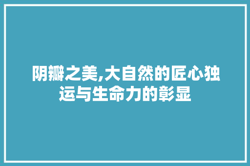 阴瓣之美,大自然的匠心独运与生命力的彰显