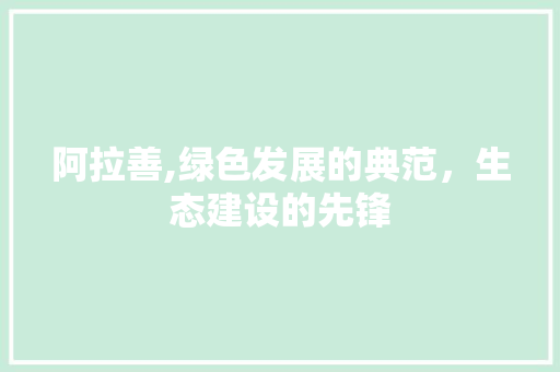 阿拉善,绿色发展的典范，生态建设的先锋 阿拉善,绿色发展的典范，生态建设的先锋 必应SEO