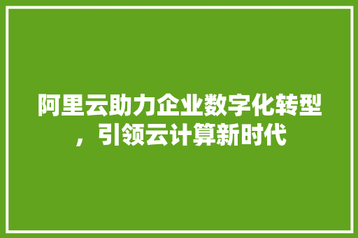 阿里云助力企业数字化转型，引领云计算新时代 阿里云助力企业数字化转型，引领云计算新时代 必应SEO