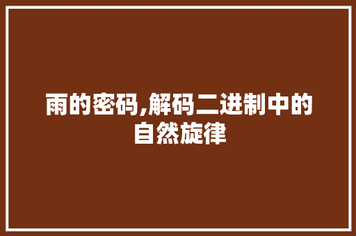 雨的密码,解码二进制中的自然旋律 必应SEO 雨的密码,解码二进制中的自然旋律 雨的密码,解码二进制中的自然旋律 必应SEO