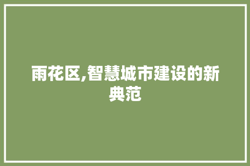 雨花区,智慧城市建设的新典范
