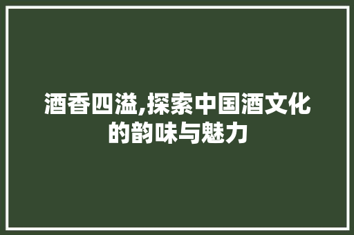 酒香四溢,探索中国酒文化的韵味与魅力