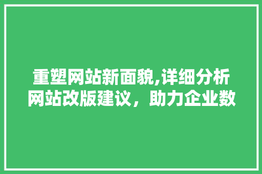 重塑网站新面貌,详细分析网站改版建议，助力企业数字化转型 重塑网站新面貌,详细分析网站改版建议，助力企业数字化转型 SEO关键词
