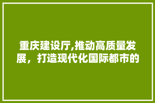 重庆建设厅,推动高质量发展，打造现代化国际都市的坚实基石