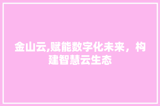 金山云,赋能数字化未来，构建智慧云生态