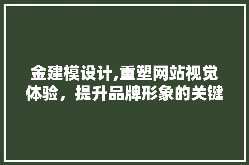 金建模设计,重塑网站视觉体验，提升品牌形象的关键之路