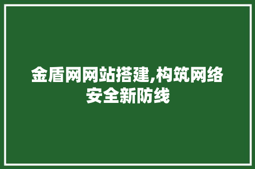 金盾网网站搭建,构筑网络安全新防线 金盾网网站搭建,构筑网络安全新防线 SEO关键词