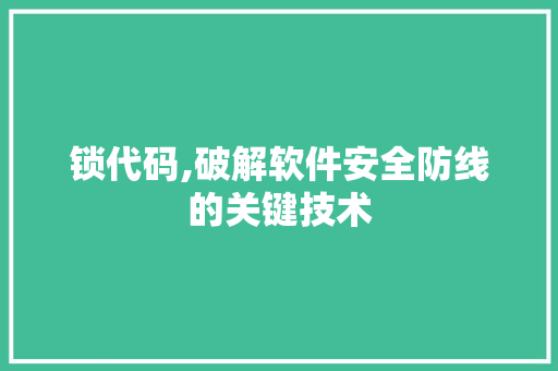 锁代码,破解软件安全防线的关键技术 锁代码,破解软件安全防线的关键技术 网站建设公司