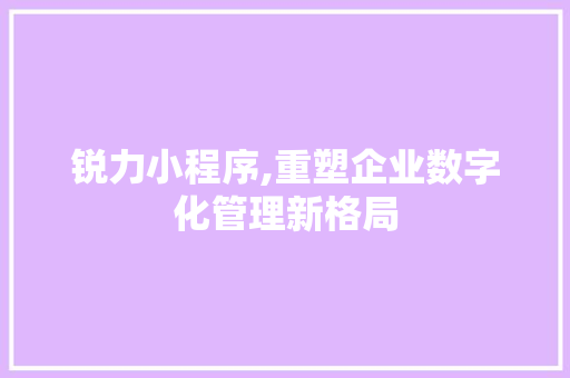 锐力小程序,重塑企业数字化管理新格局 锐力小程序,重塑企业数字化管理新格局 网站建设公司