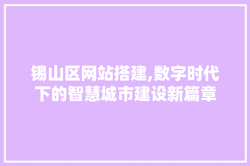 锡山区网站搭建,数字时代下的智慧城市建设新篇章