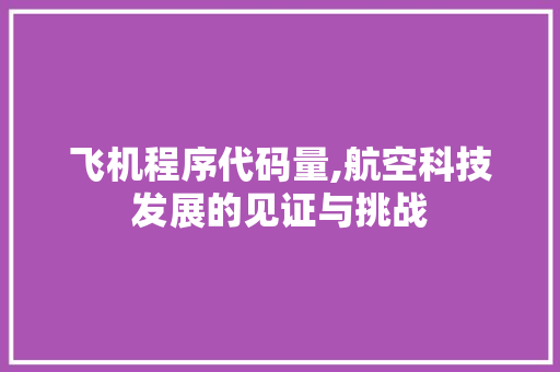 飞机程序代码量,航空科技发展的见证与挑战 飞机程序代码量,航空科技发展的见证与挑战 网站建设公司
