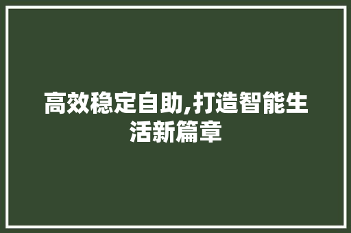 高效稳定自助,打造智能生活新篇章