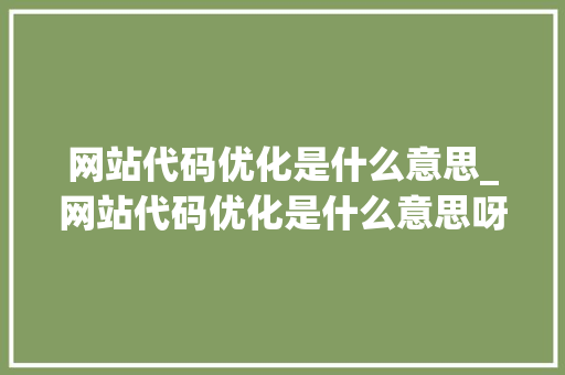 网站代码优化是什么意思_网站代码优化是什么意思呀。